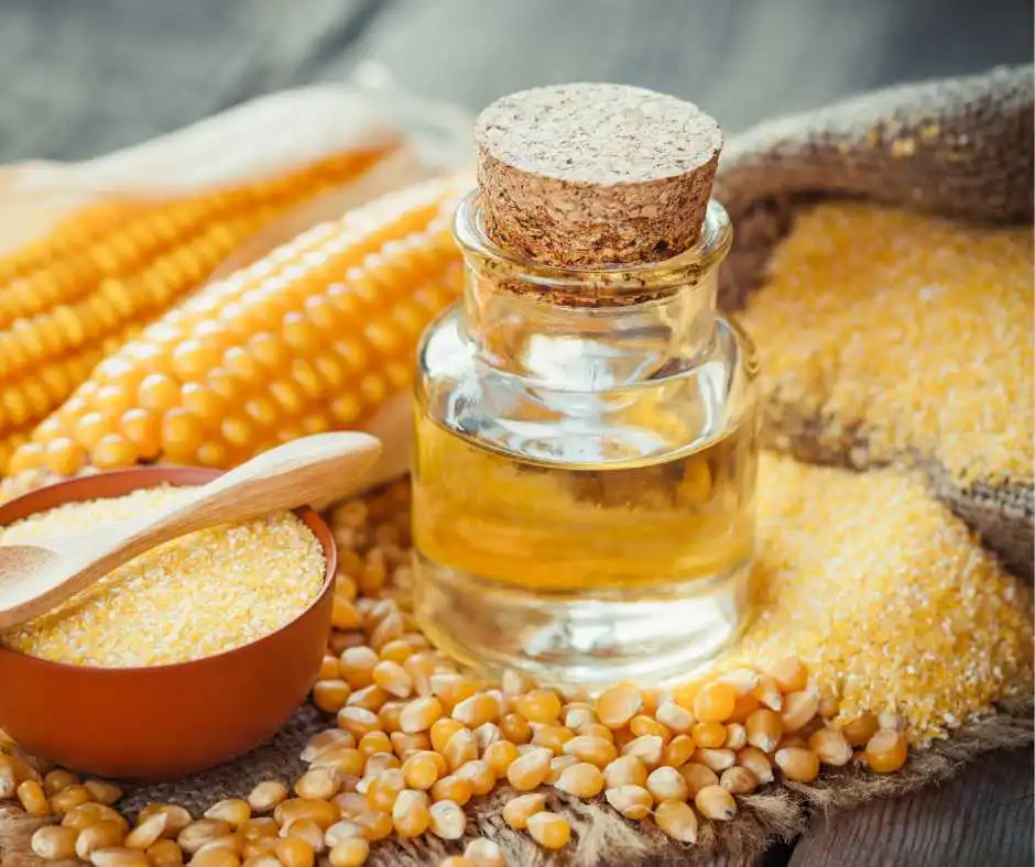 olio di germe di mais